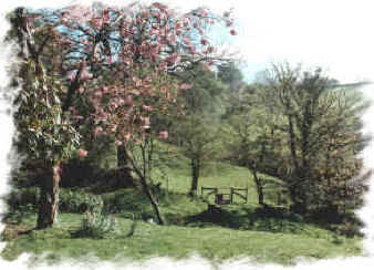 blossmall.jpg (14255 bytes)